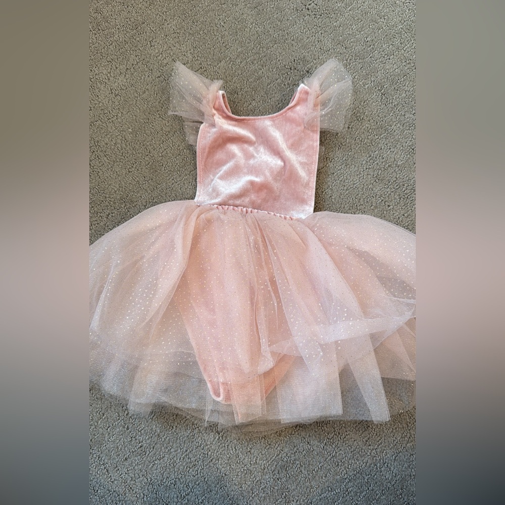 Zara Blush Tulle Kids Dance Costume